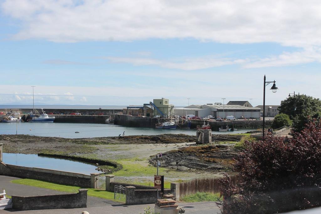 Burford Lodge Guest House Ardglass Eksteriør billede
