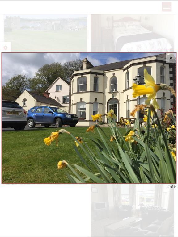 Burford Lodge Guest House Ardglass Eksteriør billede
